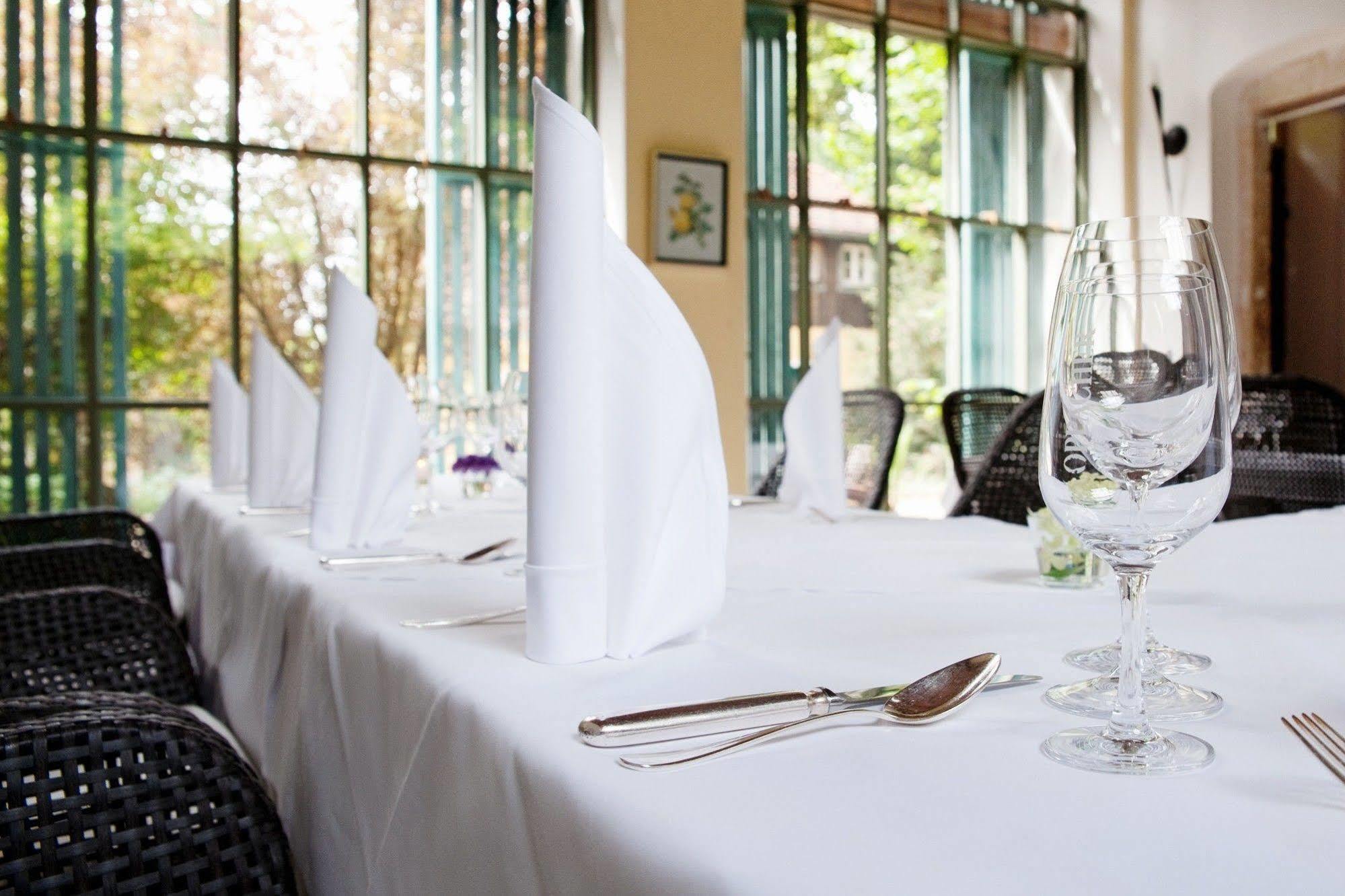 Hotel Villa Sorgenfrei & Restaurant Atelier Sanssouci Radebeul Exterior photo